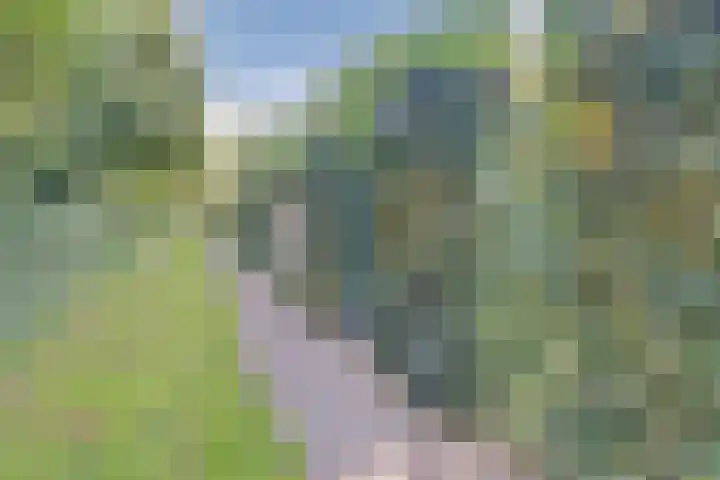 Alkmaarsingel 276 Arnhem thumbnail 25
