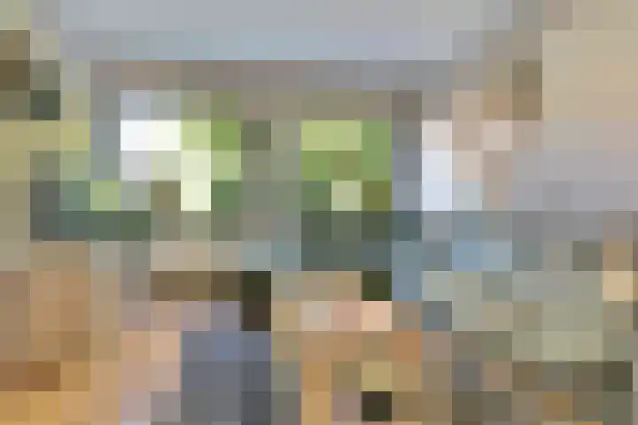 Alkmaarsingel 276 Arnhem thumbnail 4