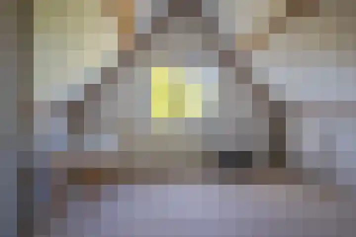 Alkmaarsingel 295 Arnhem thumbnail 33