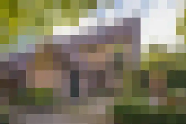 Alkmaarsingel 295 Arnhem thumbnail 5