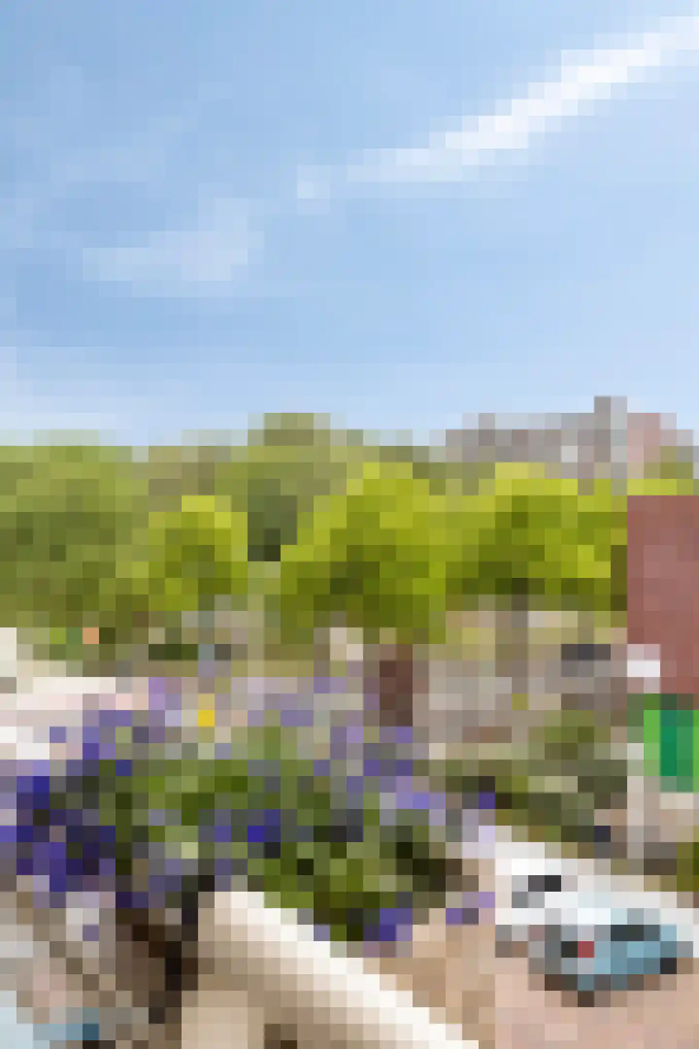 Alkmaarstraat 147 Amsterdam thumbnail 19