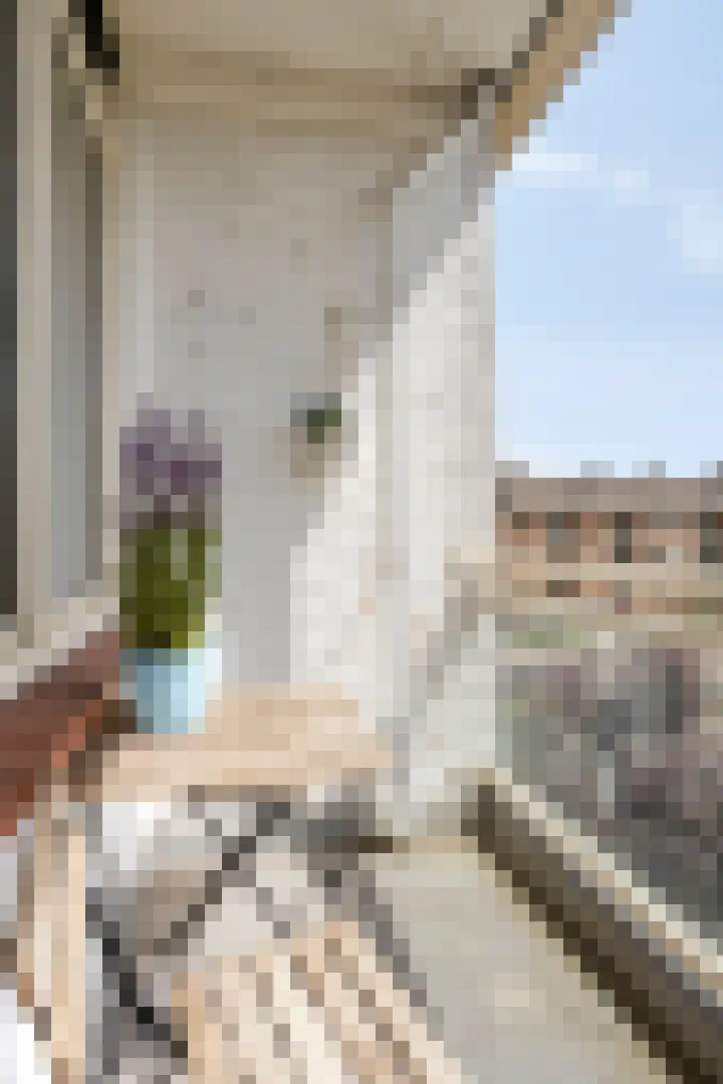 Alkmaarstraat 147 Amsterdam thumbnail 25