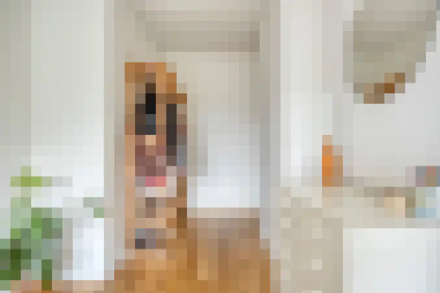Alkmaarstraat 147 Amsterdam thumbnail 31