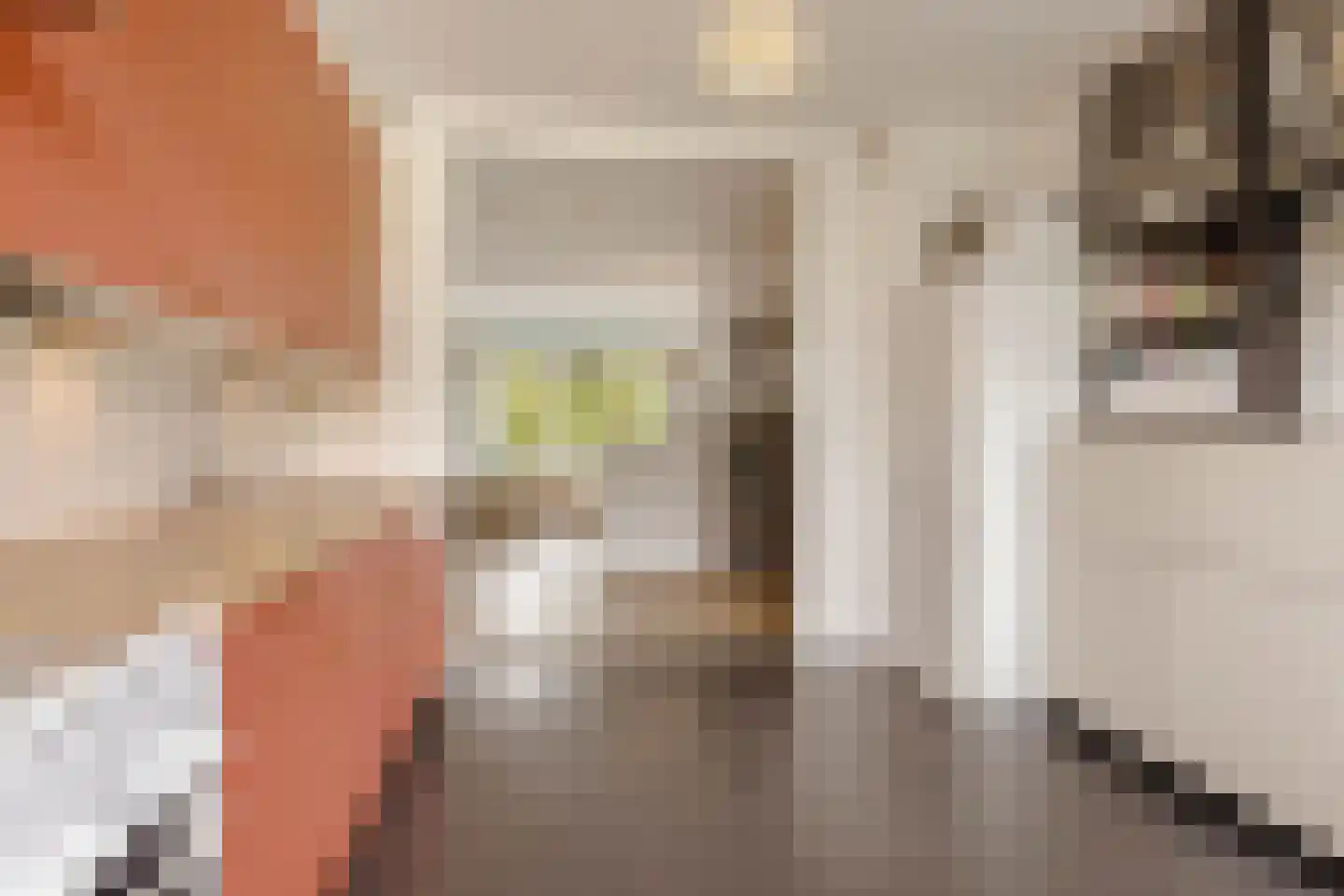 Alkmaarstraat 209 Amsterdam thumbnail 13