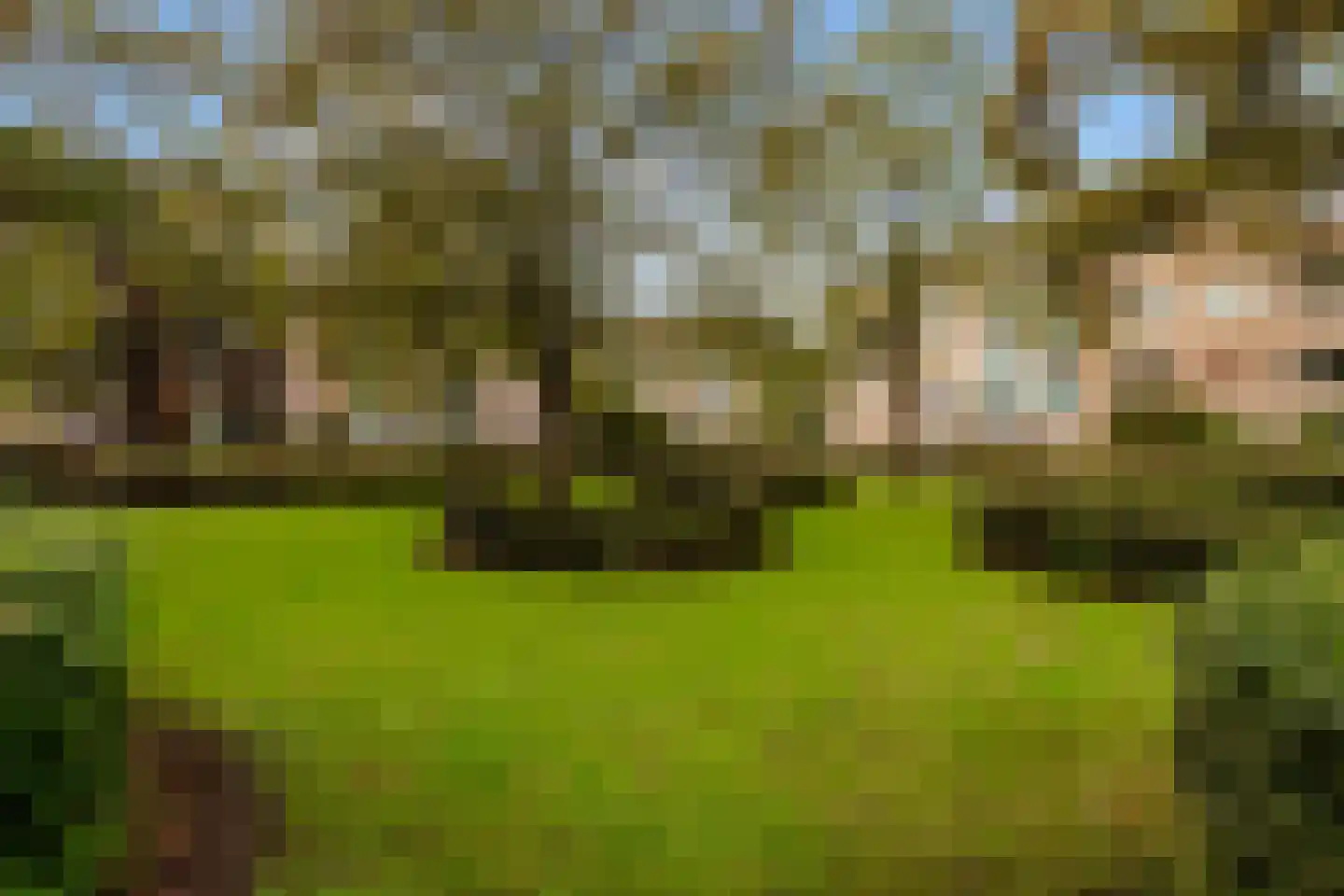 Alkmaarstraat 209 Amsterdam thumbnail 31