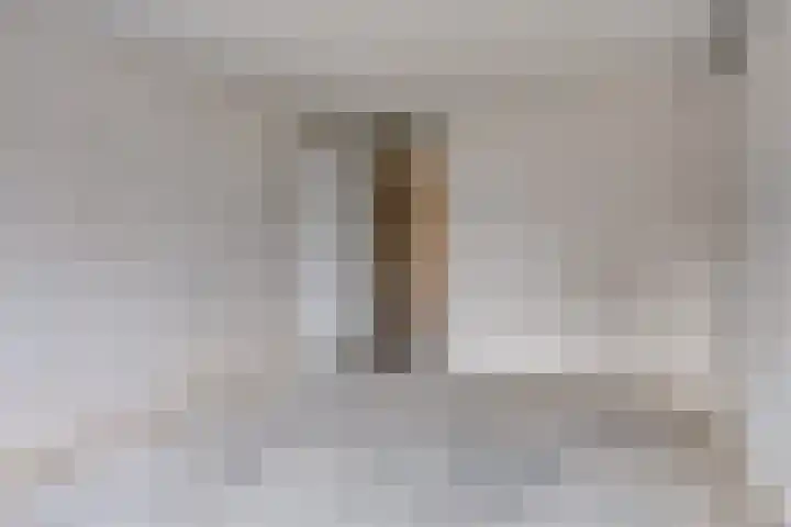 Alkmaarstraat 247 Amsterdam thumbnail 5