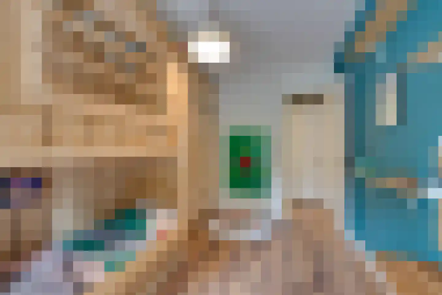Alkmaarstraat 253 Amsterdam thumbnail 35