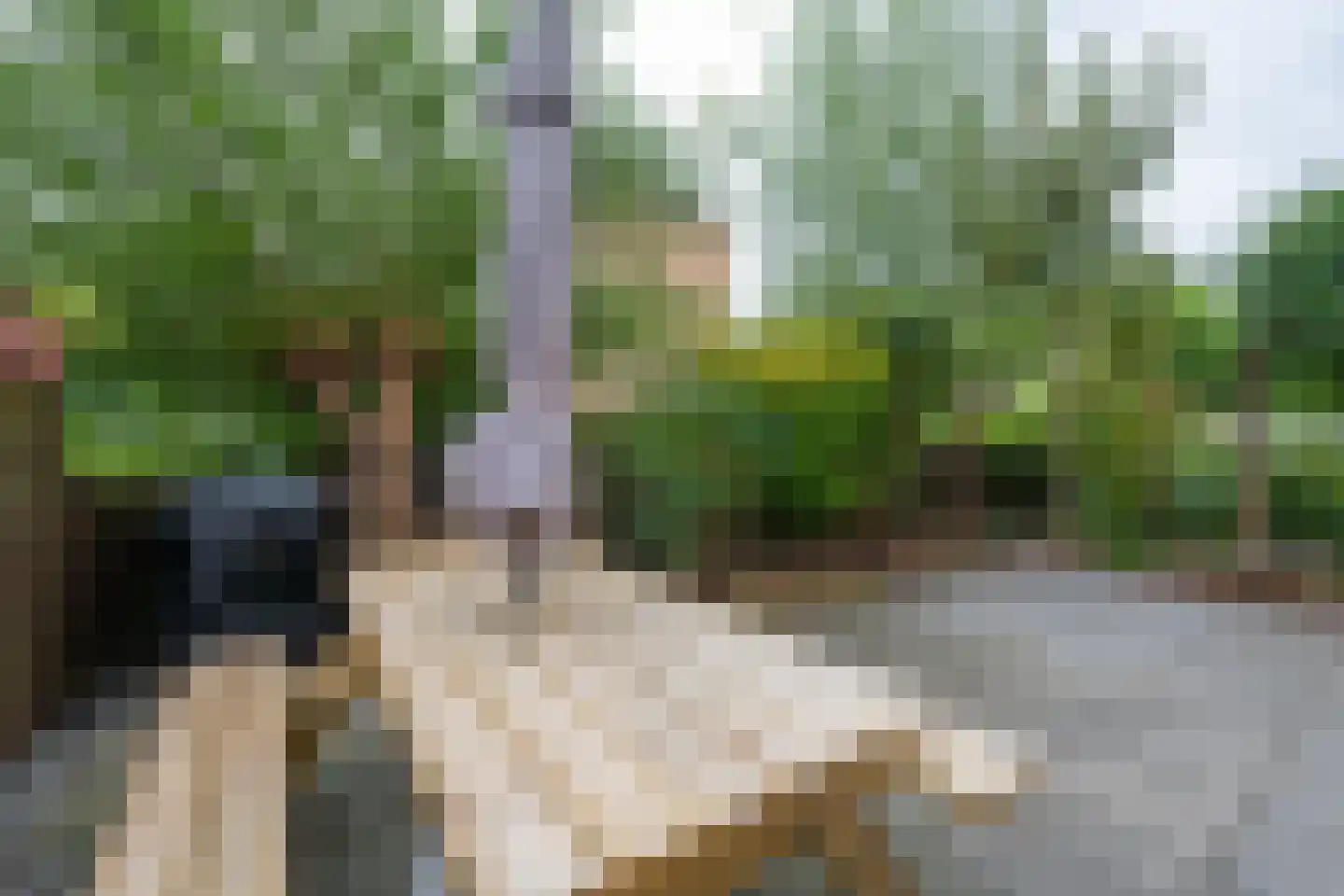 Alkmaarstraat 253 Amsterdam thumbnail 42