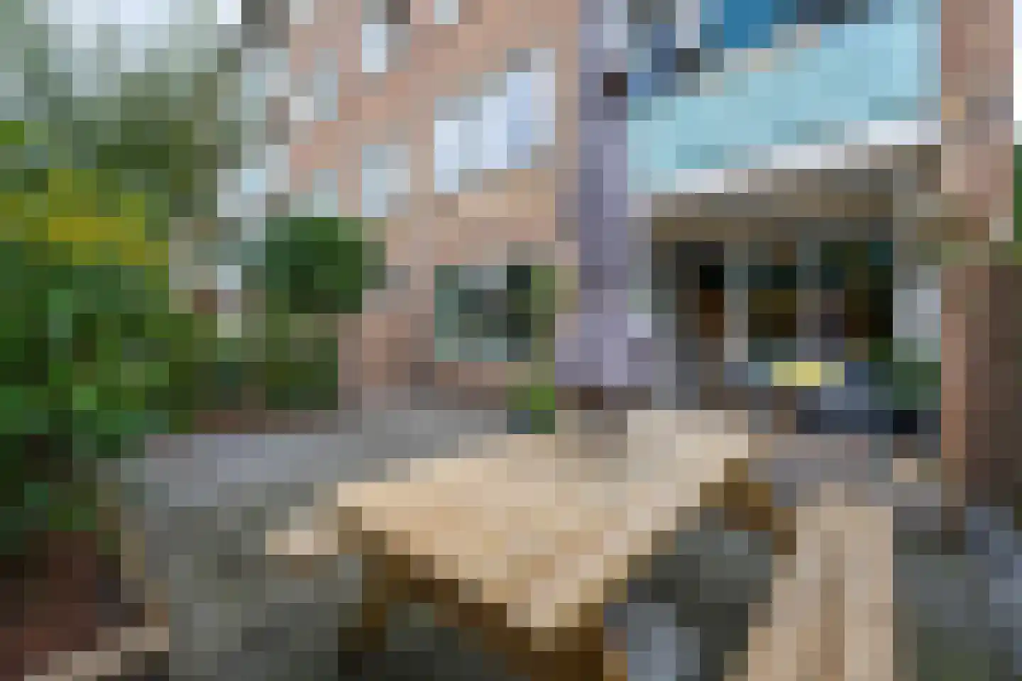 Alkmaarstraat 253 Amsterdam thumbnail 43