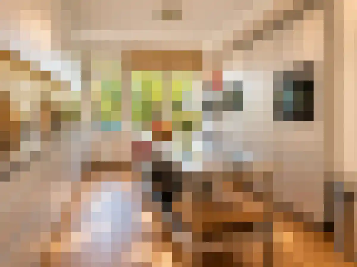 Alkmaarstraat 281 Amsterdam thumbnail 5