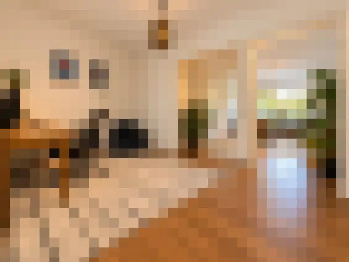 Alkmaarstraat 281 Amsterdam thumbnail 6