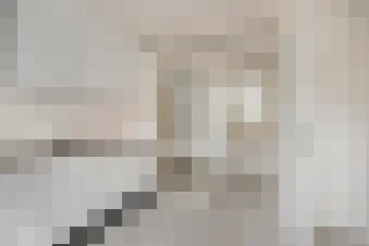 Alkmaarstraat 289 Amsterdam thumbnail 5