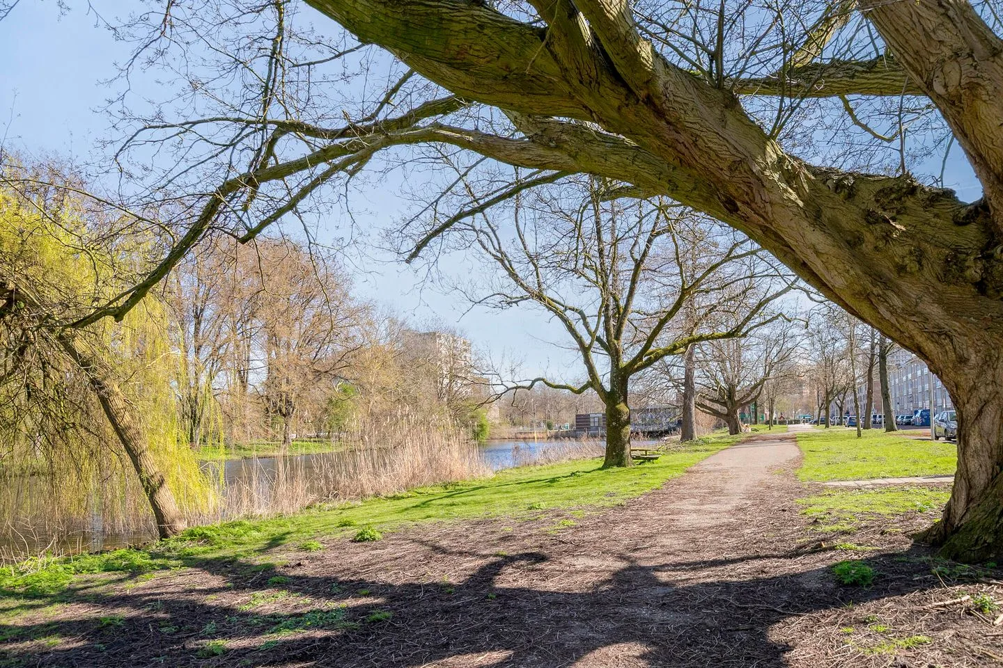 Alkmaarstraat 307 Amsterdam thumbnail 29