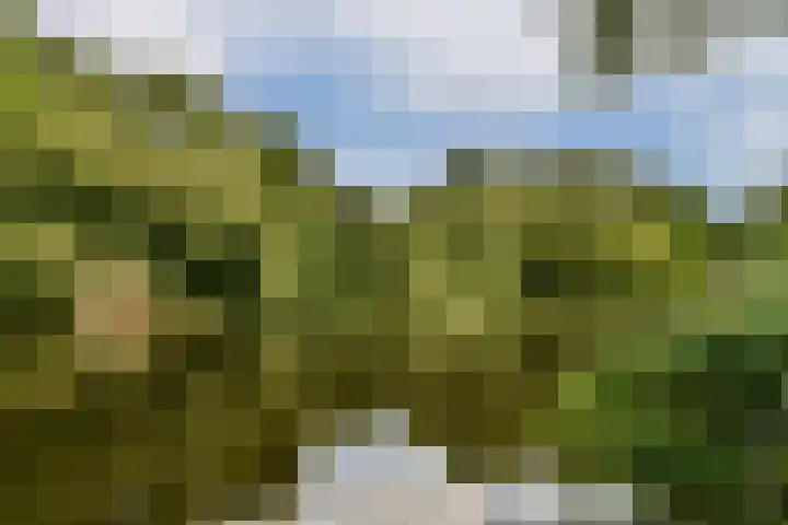 Alkmaarstraat 333 Amsterdam thumbnail 16