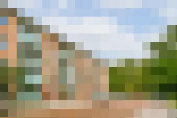 Alkmaarstraat 333 Amsterdam thumbnail 18