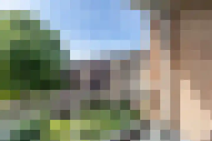 Alkmaarstraat 55 Amsterdam thumbnail 12