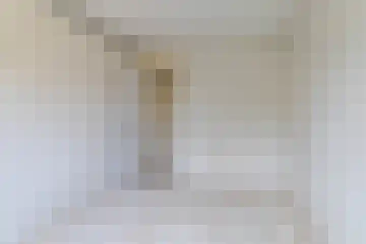 Alkmaarstraat 55 Amsterdam thumbnail 9