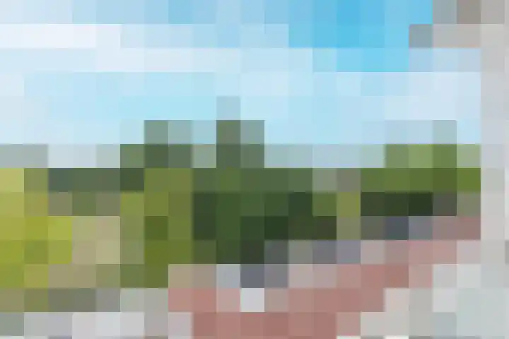 Alkmaarstraat 69 Amsterdam thumbnail 6
