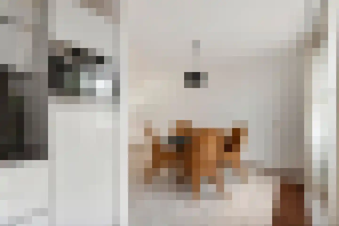 Alkmene 13 Tiel thumbnail 18