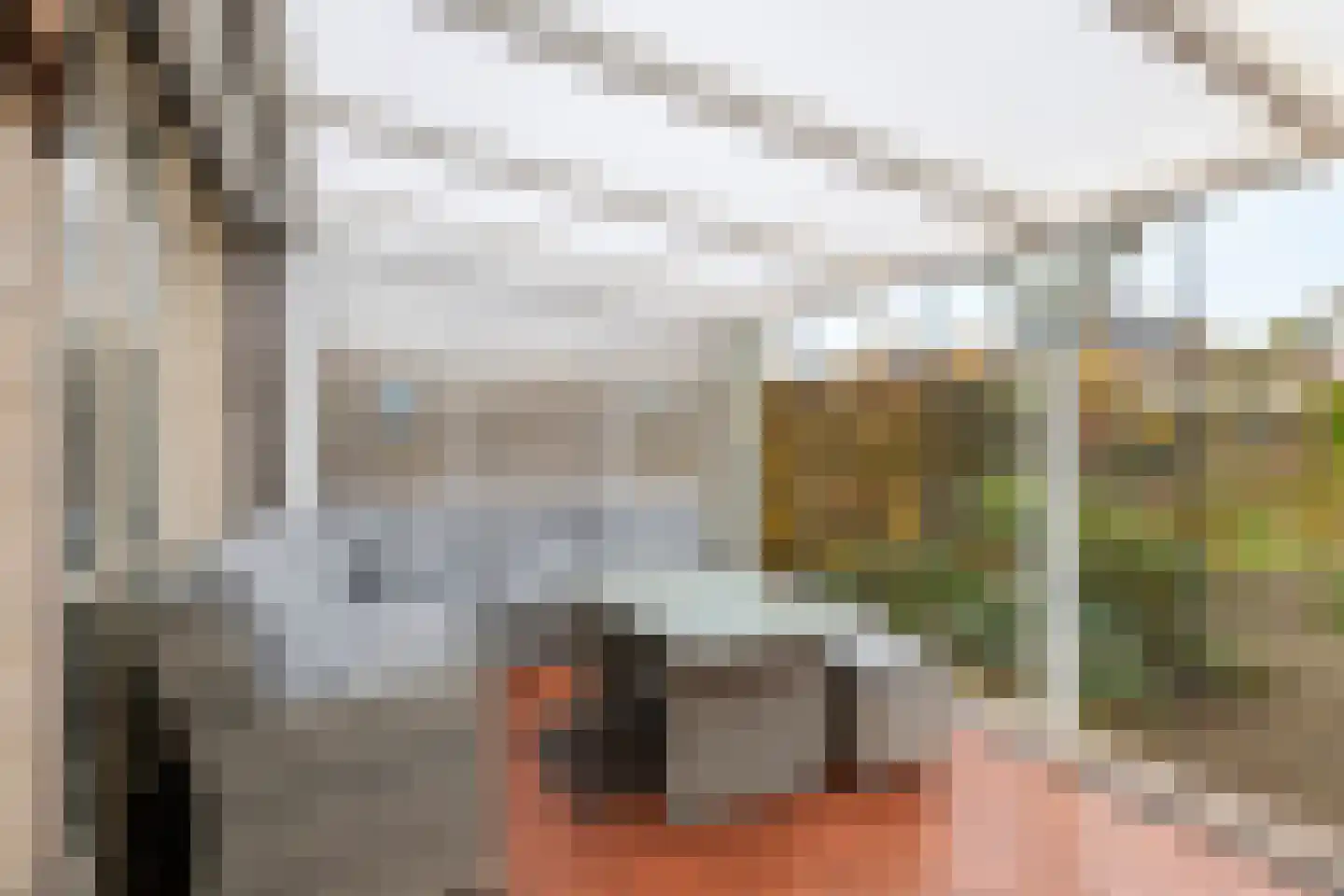 Alkmene 13 Tiel thumbnail 31