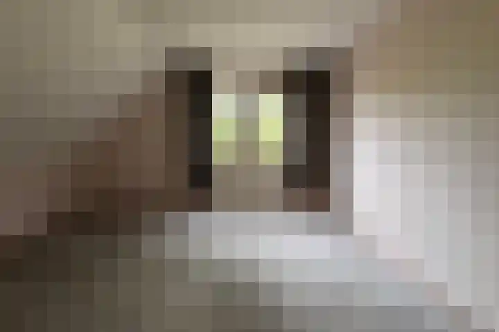 Alkmenegaard 42 Arnhem thumbnail 22