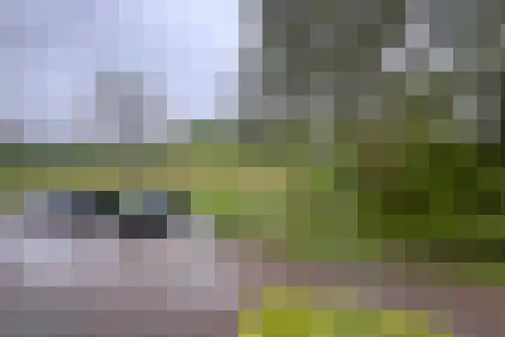 Alkmenegaard 42 Arnhem thumbnail 23
