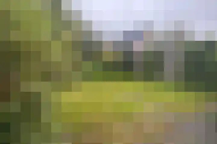 Alkmenegaard 42 Arnhem thumbnail 6