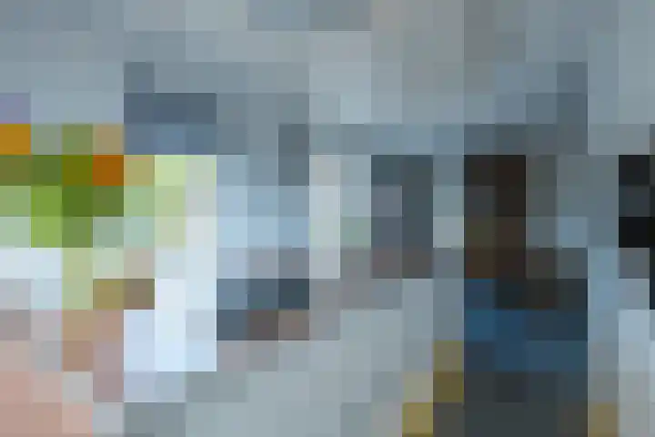 Alkmesschen 25 Assen thumbnail 11