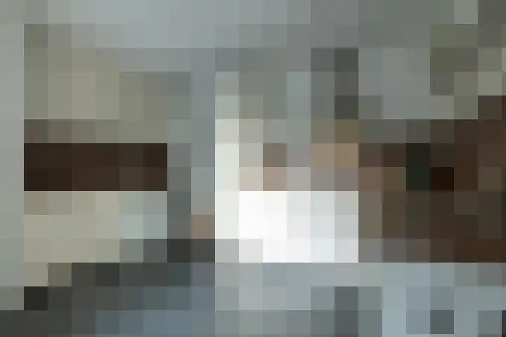 Alkmesschen 25 Assen thumbnail 12