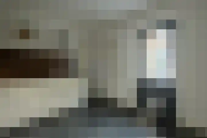 Alkmesschen 25 Assen thumbnail 13