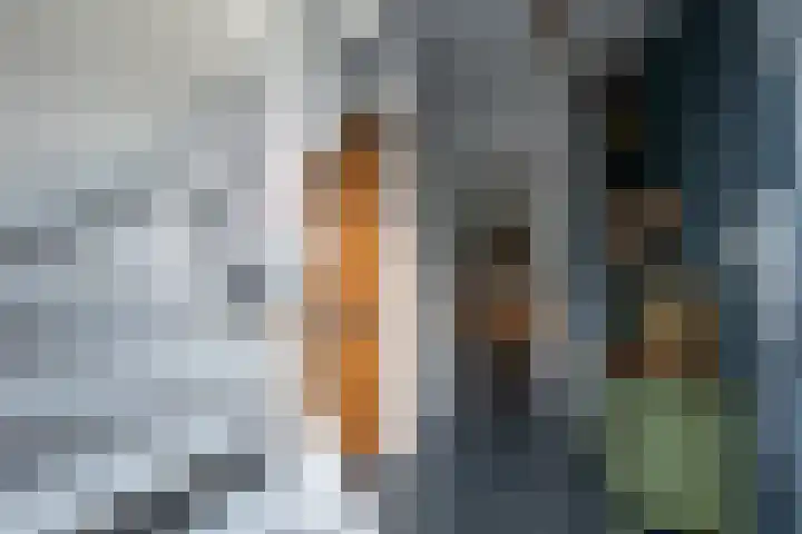 Alkmesschen 25 Assen thumbnail 14