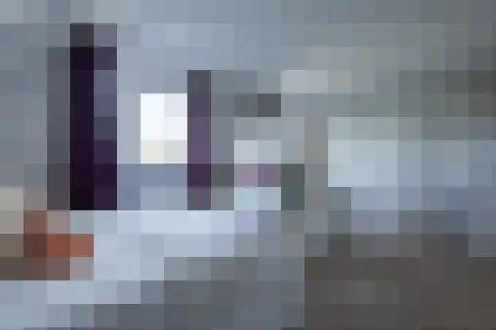 Alkmesschen 25 Assen thumbnail 18