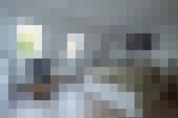 Alkmesschen 25 Assen thumbnail 20