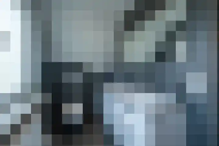 Alkmesschen 25 Assen thumbnail 21