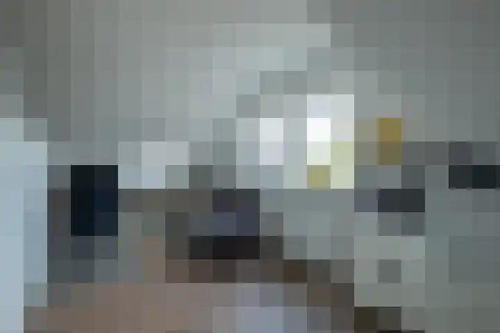 Alkmesschen 25 Assen thumbnail 24