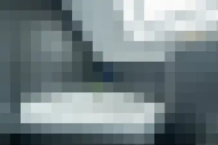 Alkmesschen 25 Assen thumbnail 29