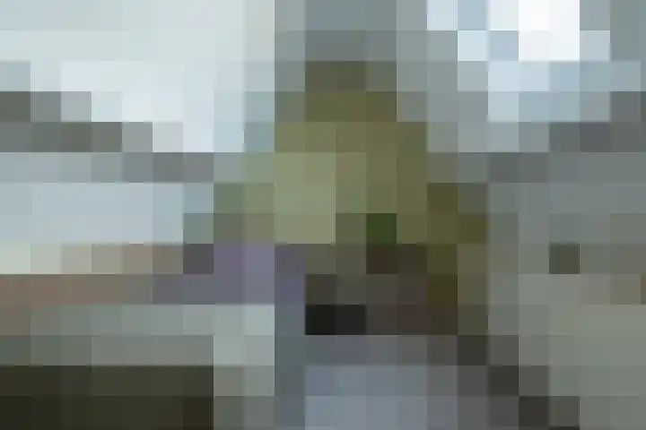 Alkmesschen 25 Assen thumbnail 32