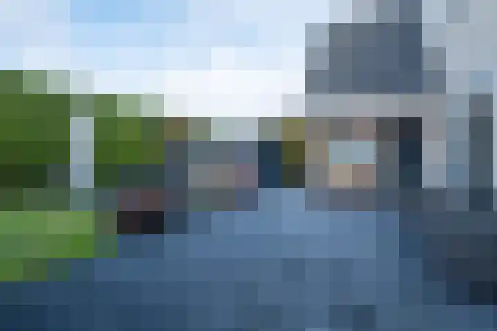Alkmesschen 25 Assen thumbnail 34