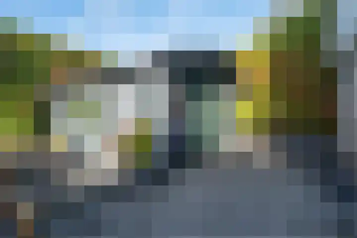 Alkmesschen 25 Assen thumbnail 35