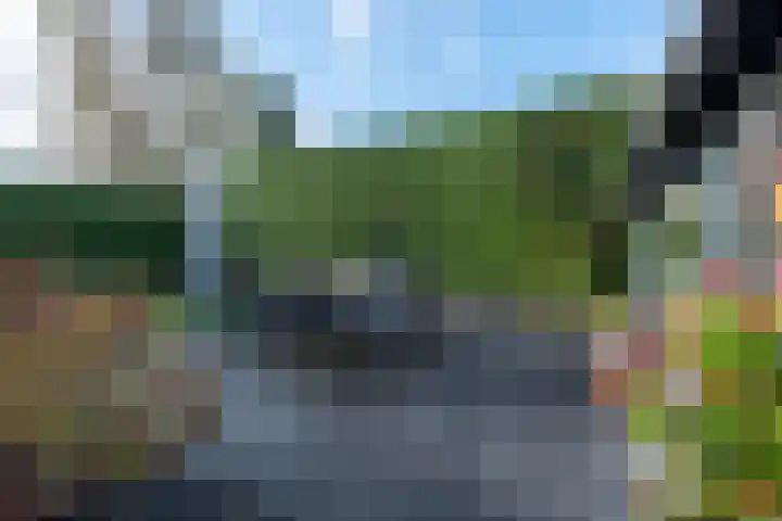 Alkmesschen 25 Assen thumbnail 36