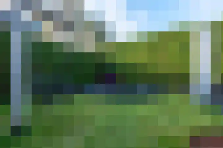 Alkmesschen 25 Assen thumbnail 37