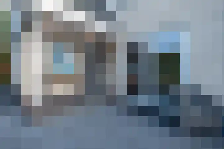 Alkmesschen 25 Assen thumbnail 38