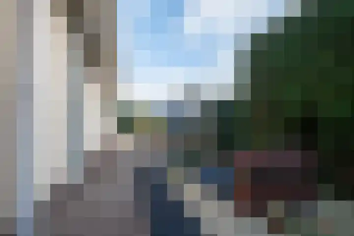 Alkmesschen 25 Assen thumbnail 39