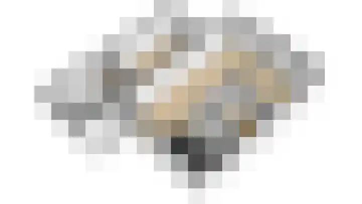 Alkmesschen 25 Assen thumbnail 42