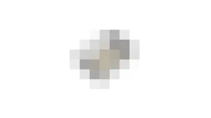 Alkmesschen 25 Assen thumbnail 49