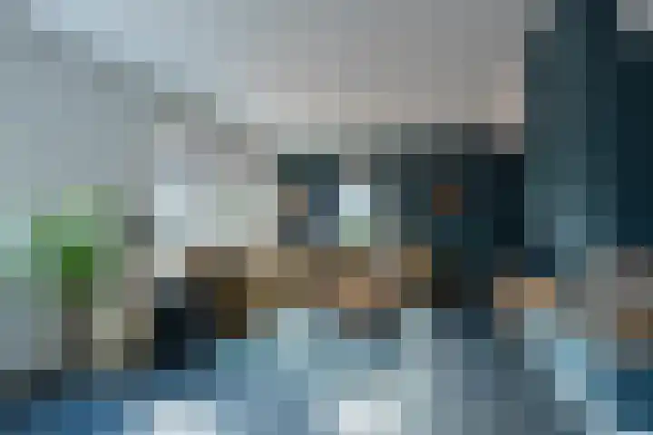 Alkmesschen 25 Assen thumbnail 5