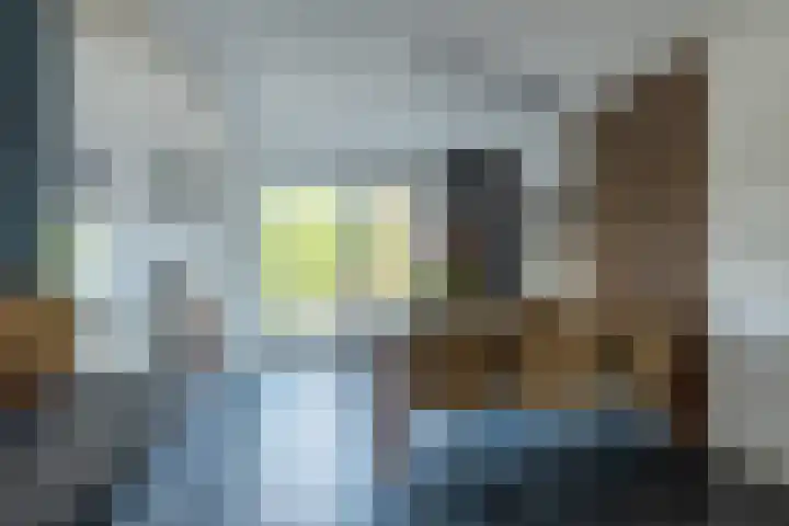 Alkmesschen 25 Assen thumbnail 7
