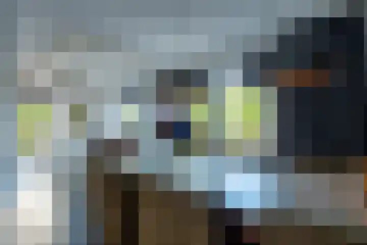Alkmesschen 25 Assen thumbnail 8