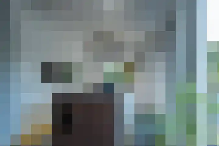 Alkmesschen 25 Assen thumbnail 9