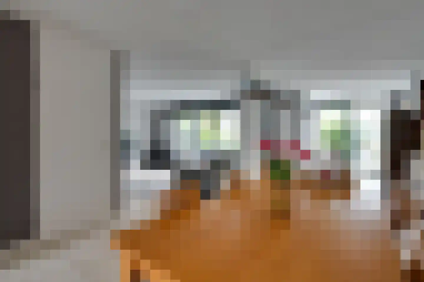 Alkmesschen 26 Assen thumbnail 10